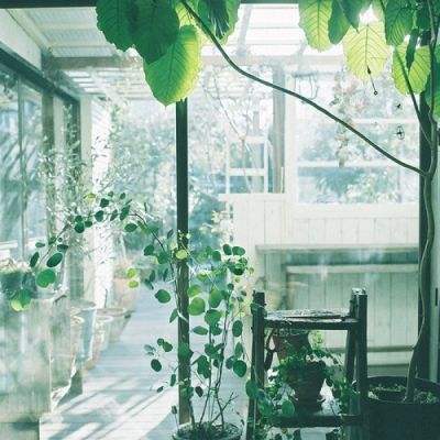 半岛·综合体育下载